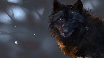 Wolf Art 4k Laptop Full HD 1080p Wallpaper Image