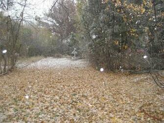 Hoyt Street Wheat Ridge Co Home At