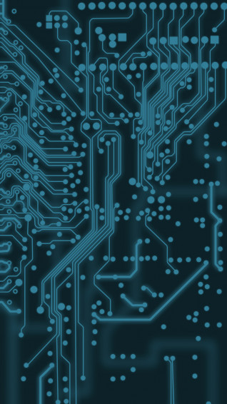 Gorgerous Chip Wallpaper