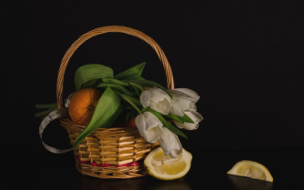 Photography Still Life HD Wallpaper