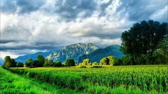 Spring Landscape Wallpaper