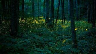 Bing Wallpaper Archive