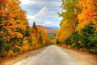 Foliage Pictures Maine Fall