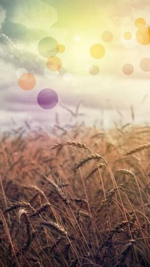 Rainbow Country iPhone Wallpaper