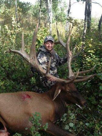 Monster Bull Elk