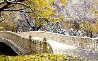 Fall Central Park New York Wallpaper HD
