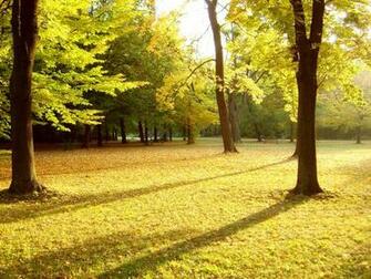Autumn Park Wallpaper