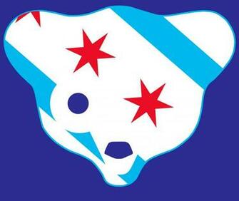 Chicago Cubbie Flag Hooded Sweatshirt By Crosstowntees