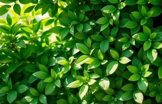 Wallpaper Aesthetic Green