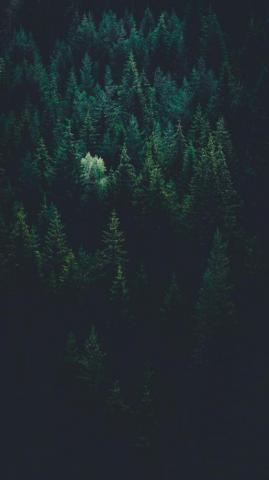 Steam Background Image HD Background