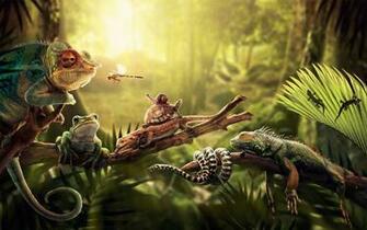 Reptile Wallpaper