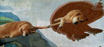 Specific Can Someone Put The Background Of Michelangelo S