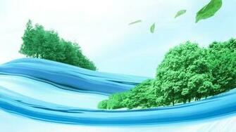 Trees On Water Wallpaper