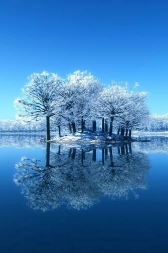 Snow White Trees iPhone Wallpaper