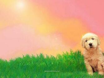 Dogs Image Dog Wallpaper HD And Background