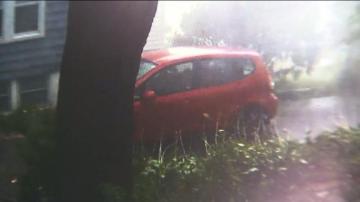 See It Moment Powerful T Storm Sends Tree Crashing Onto Queens