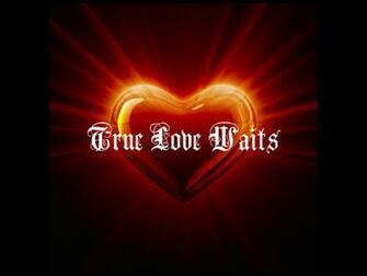 True Love Never Dies Wallpaper