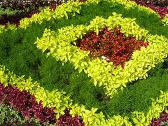 Flower Garden