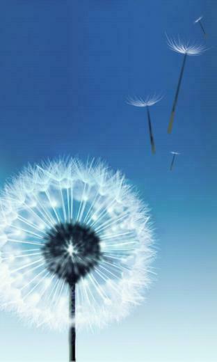 HD Wallpaper Samsung Galaxy