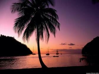 St Lucia Island Nigh Wallpaper Photosjunction