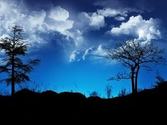 Tree Silhouettes Wallpaper In Nature Scenery Desktop