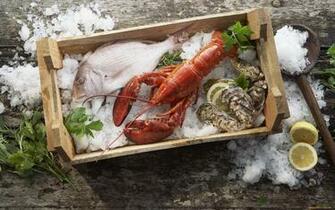 Seafood Wallpaper