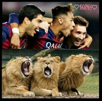 Msn Fcb Por Sharkpat Fc Barcelona Wallpaper Fotos Del F C