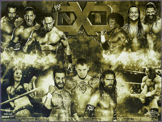 Wwe Superstars Wallpaper Nxt By