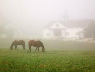 Hq Manchester Horse Farm Lexington Kentucky Wallpaper