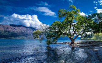 New Zealand Landscape Wallpaper