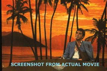 Scarface Franks Office Wall Mural Commercial Grade Type Ii Highly
