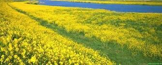 Pleasant Dual Screen Nature And Spring Wallpaper Multy Shades