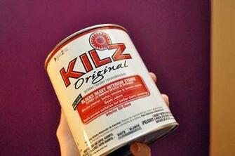 Kilz Wallpaper Mold