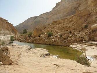 Negev Desert Israel Landscape Nature HD City Wallpaper