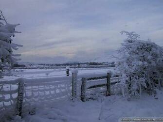 Showing Gallery For Late Winter Wallpaper