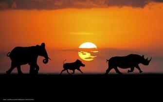 Wallpaper Animals Elephant Rhino Safari Desktop