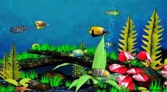 3d Fish Wallpaper Gallery