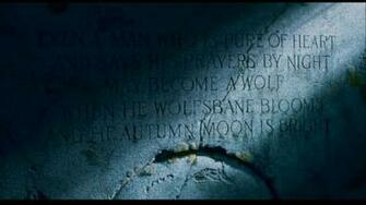 The Wolfman Computer Wallpaper Desktop Background