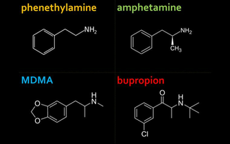Kyle Dewitt On Bupropion Structurally Similar To