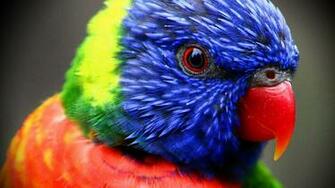 To Wallpaper Just Right Click On Pictures And Select Save