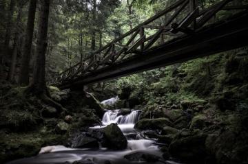 Black Forest Germany Pictures Image On