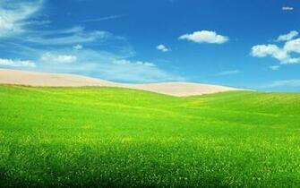 Green Hills Wallpaper