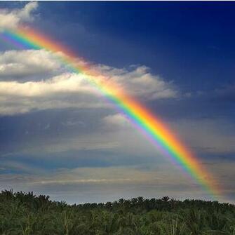 Real Rainbow Hillside In Water