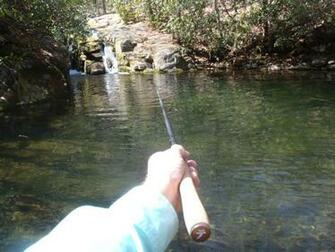 Tenkara Fly Guide Service Nc