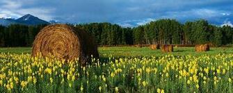 Panoramic Landscape Wallpaper Dual Screen