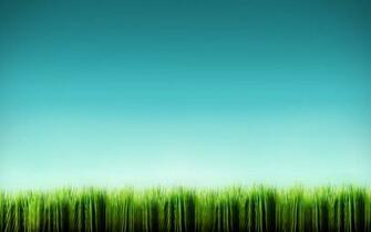 Cartoon Grass Wallpaper