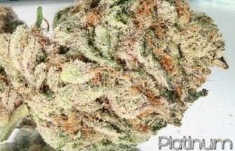Platinum Bubba Kush Reseda HD Weed Wallpaper