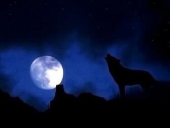Wolf Moon Wallpaper HD In Animals Imageci
