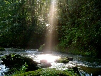 Fly Fishing River Wallpaper Wnc Trail