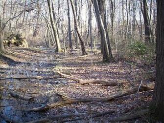 Late Winter Early Spring And